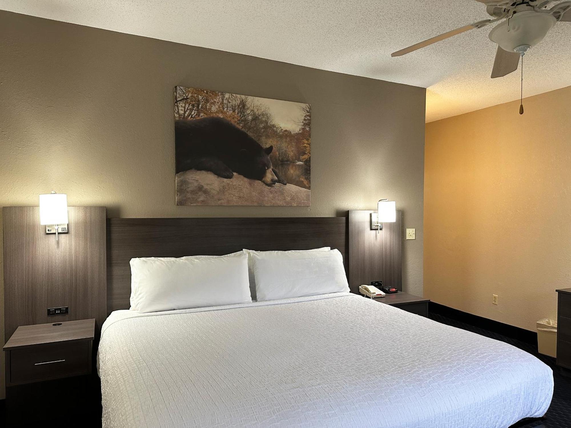 Sidney James Mountain Lodge Gatlinburg Extérieur photo